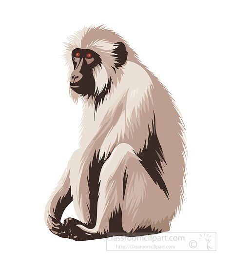 baboon a primate with distinctive facial features clip art