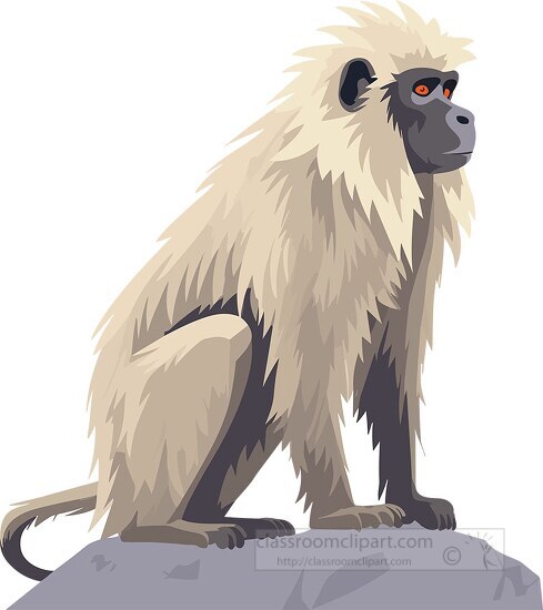 baboon sits on a large rock clip art