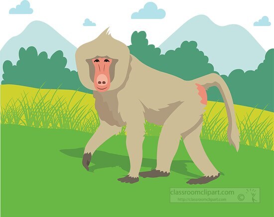 baboon walking in the forest in africa clipart