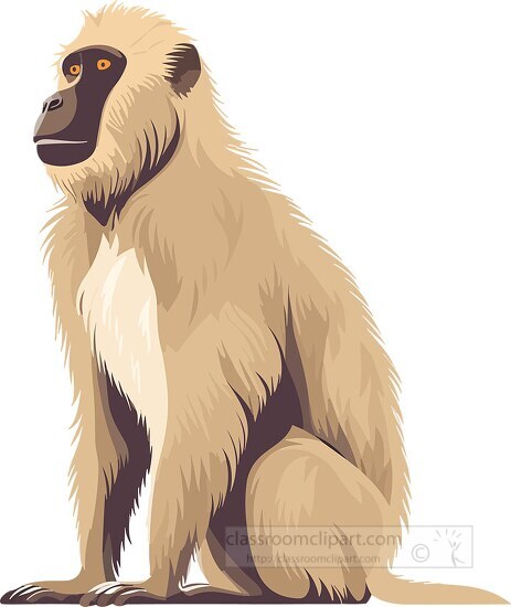 baboon with prominent snout clip art 