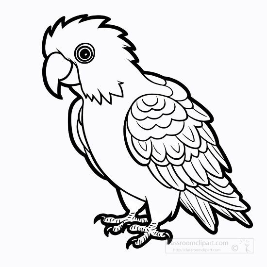 Parrot Tropical Bird Line Drawing Element, Bird Drawing, Wing Drawing, Parrot  Drawing PNG Transparent Clipart Image and PSD File for Free Download