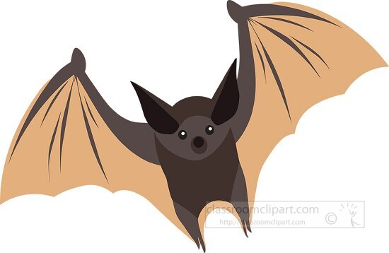 bat in flight wings extended