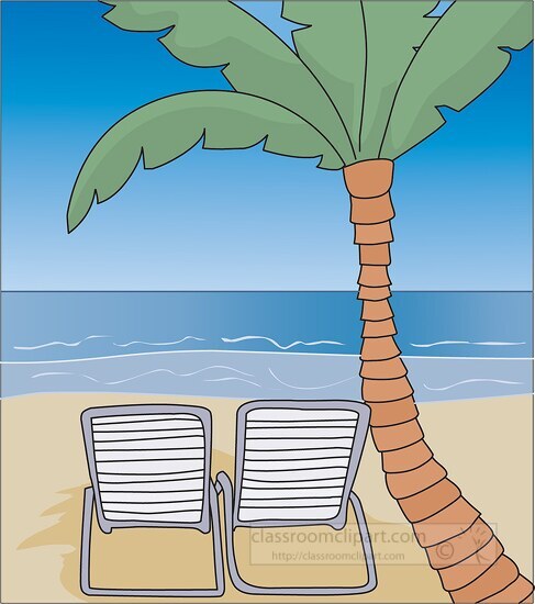 beach palm trees ocean 3