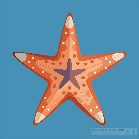 beautifully illustrated orange starfish with intricate patterns