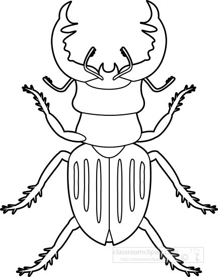 Beetle Insects Animal Clipart copy