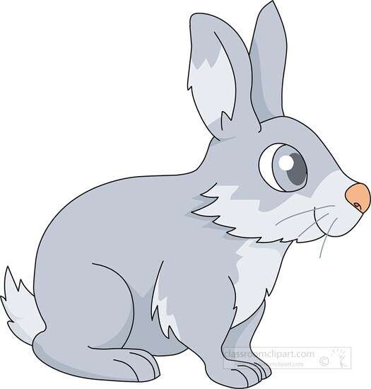 big eyed gray rabbit clipart