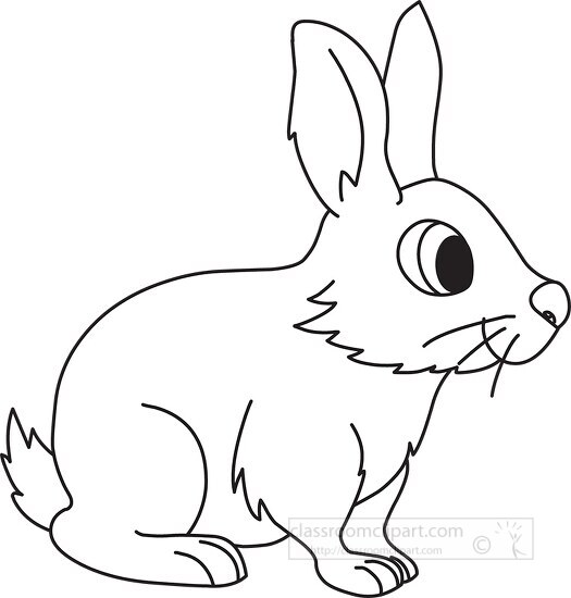 big eyed rabbit black white outline