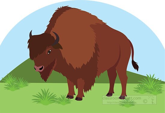 bison animal on praire clipart