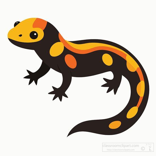 black and orange salamander with spots