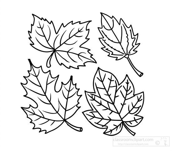 black and white coloring of autumn leaves