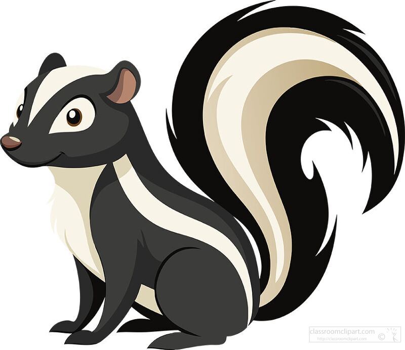 black and white skunk with a fluffy tail sits upright