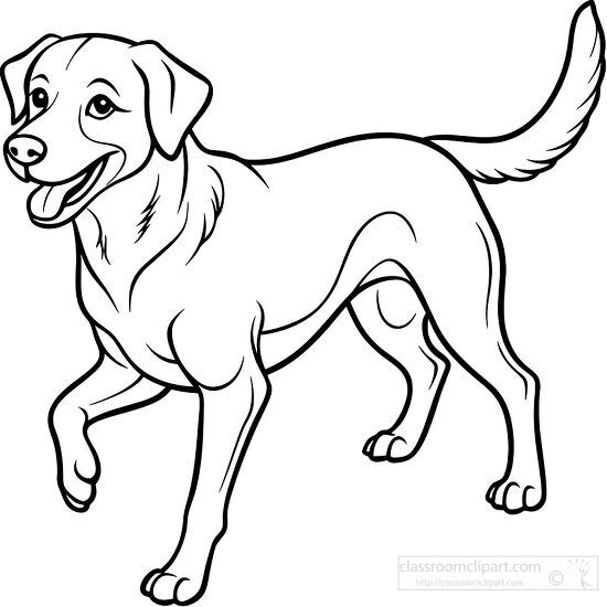 black outline drawing of a running Labrador Retriever