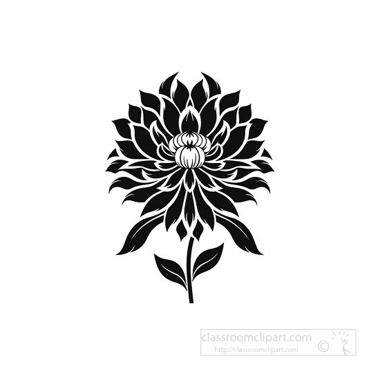 flower black and white background