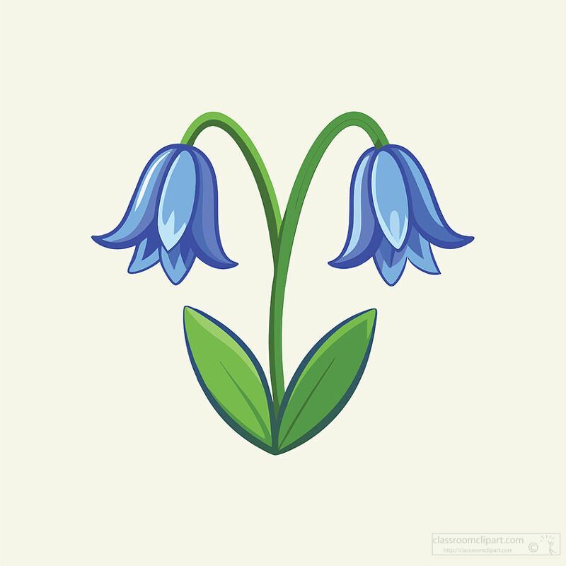 Illustration of a bluebell flower with two blossoms and green leaves