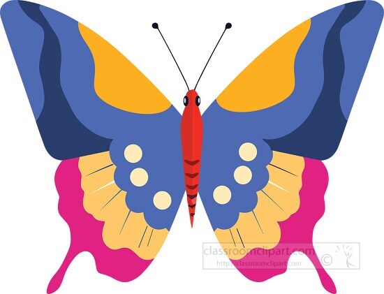 blue pink yellow orange colorful butterfly