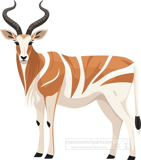 bongo antelope species native to the forests of africa stands on
