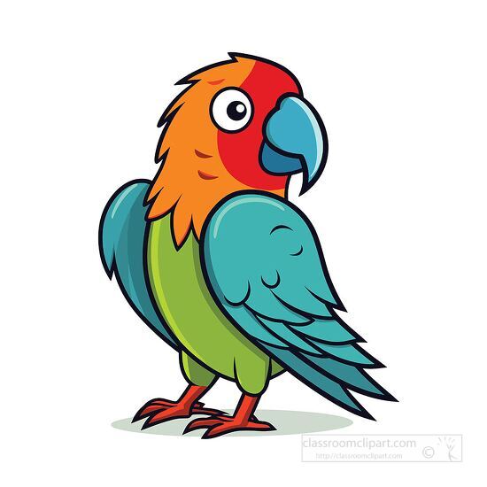 Bright parrot with orange red green and blue feathers