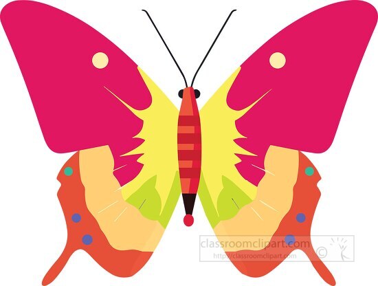 brightly colored pink yellow orange butterfly