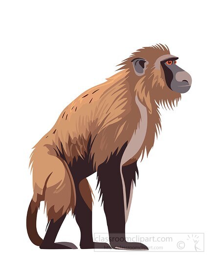brown baboon stands on all four legs clip art