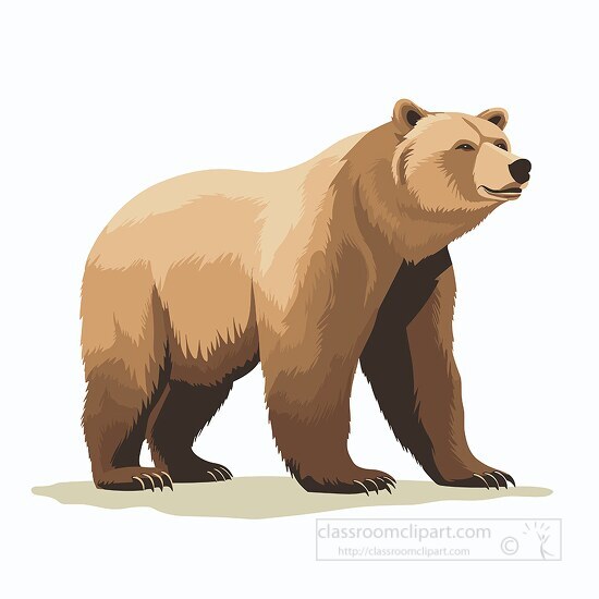 brown bear with strong curved claws