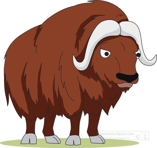 brown musk ox with curved horn used for defense clip art