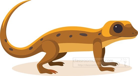 brown spotted newt