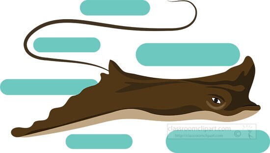 brown stingray swimming blue background clipart