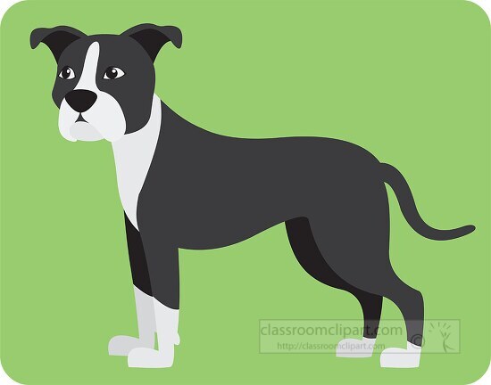brown white pit bull terrier dog gray green color clip art