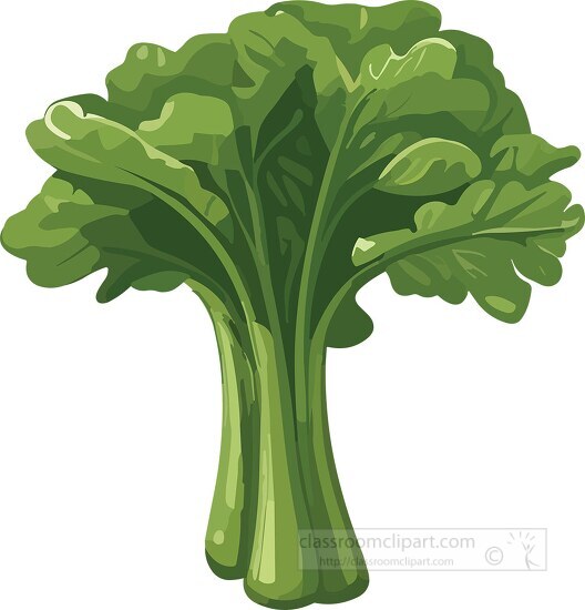 bunch of green leafy vegetable clip art