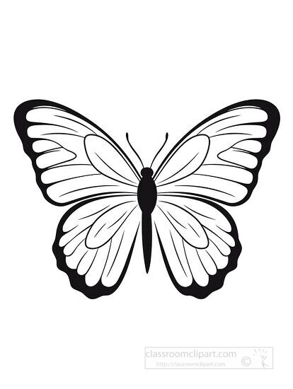 butterfly black outline coloring clipart