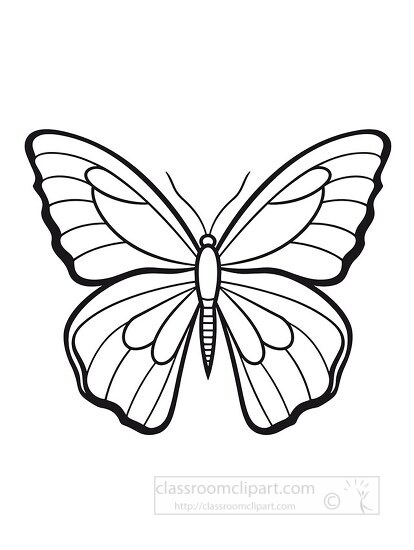 butterfly simple black outline coloring printable clipart