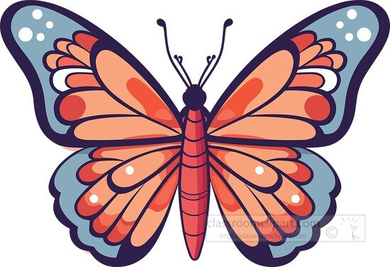 butterfly with a blue and orange wing clip art