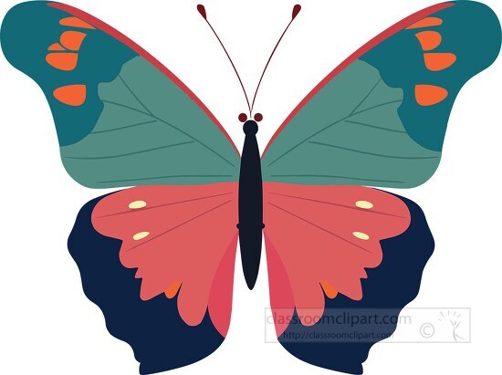 butterfly with a pink and green wings