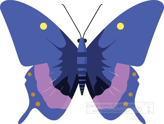 butterfly with blue purple wings
