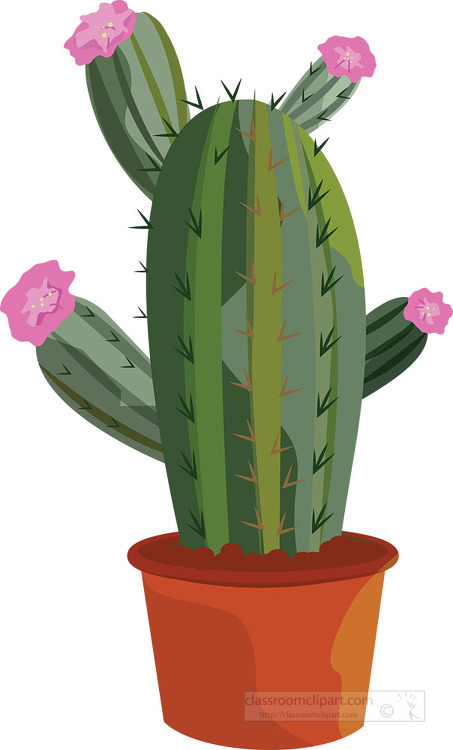 clip art cactus