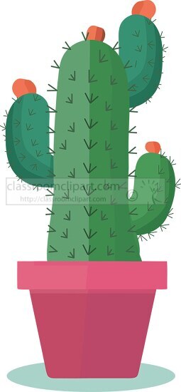 cactus with spikes in a pot flat style