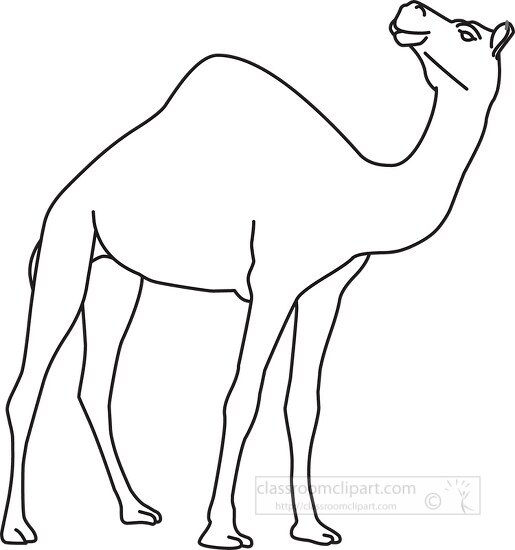 camel black outline clipart 43