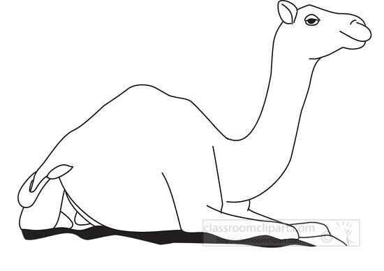 camel resting while sitting in sand black outline clipart