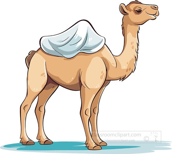 camel with a blanket on its back