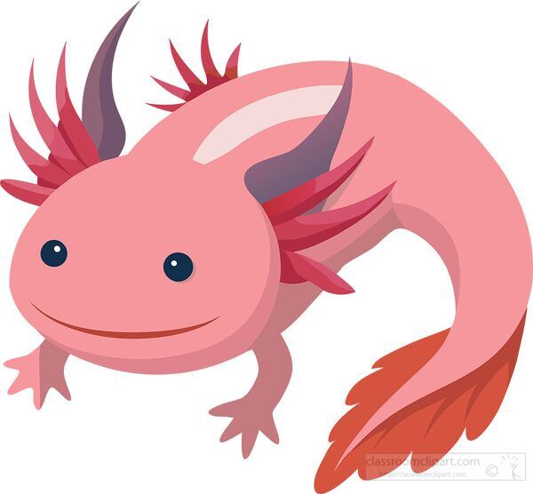 Cartoon axolotl with red fins and a soft pink body