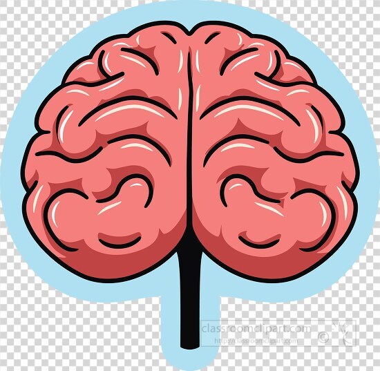 Cartoon brain with two hemispheres