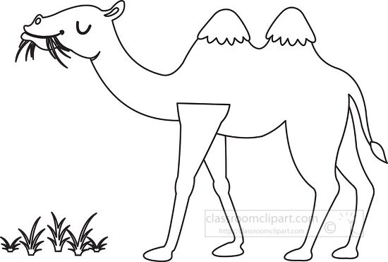cartoon camel with grass in its mouth standing in the desert bla