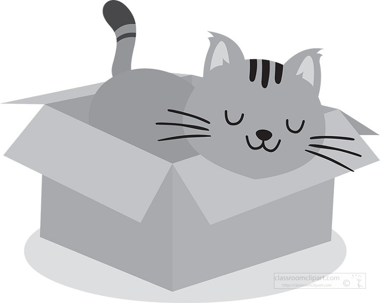 cartoon cute cat sleeping in a box gray color