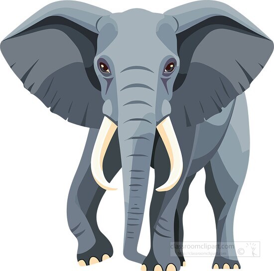cartoon elephant stands facing forward with large prominent ears