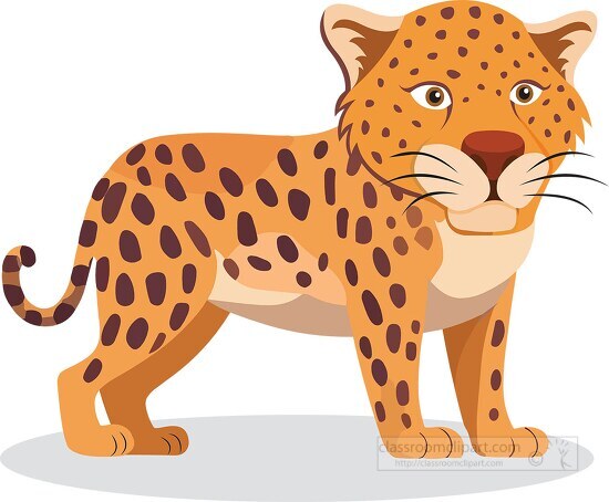 cartoon leopard standing on a white background