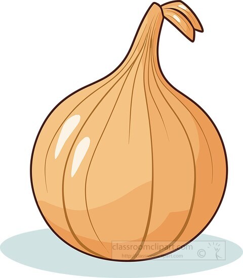 cartoon onion with a warm brown color and light reflections