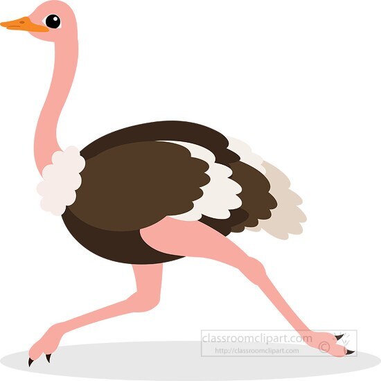 cartoon ostrich with a pink neck and black feathers is running