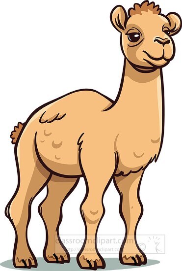 cartoon style one hump camel with long sturdy legs