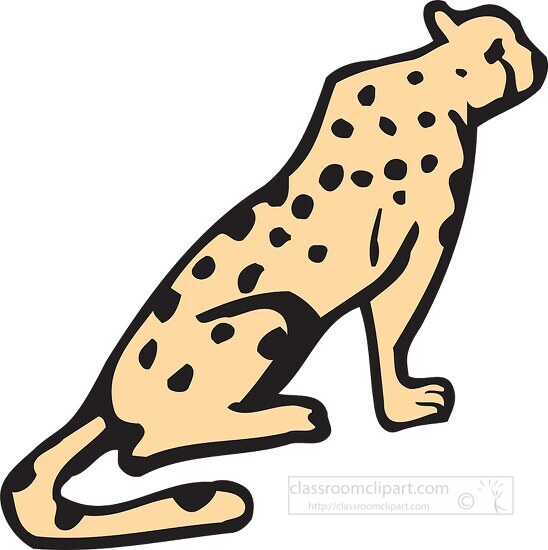 cat clipart 111