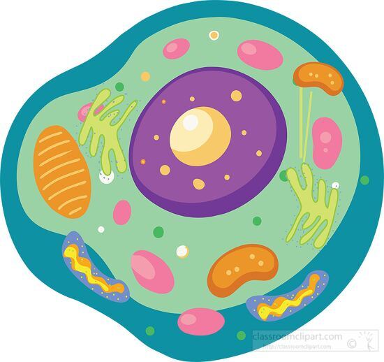 cell showing various organelles